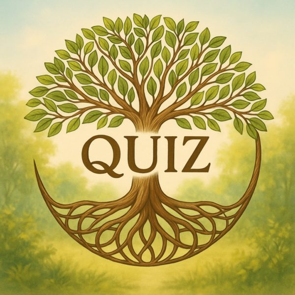 freebee quiz freebee quiz